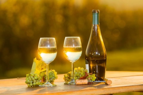 The wine-growing region of Saxony is one of the smallest and the most easterly wine-growing region