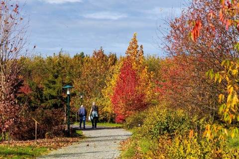 The Forest Botanical Garden Tharandt is an institution of the Technical University of Dresden and