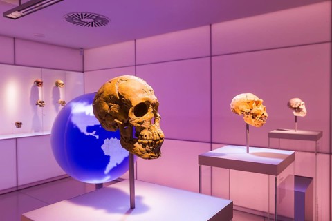 State Museum for Archaeology Chemnitz