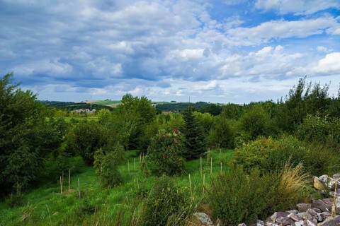 The Forest Botanical Garden Tharandt is an institution of the Technical University of Dresden and