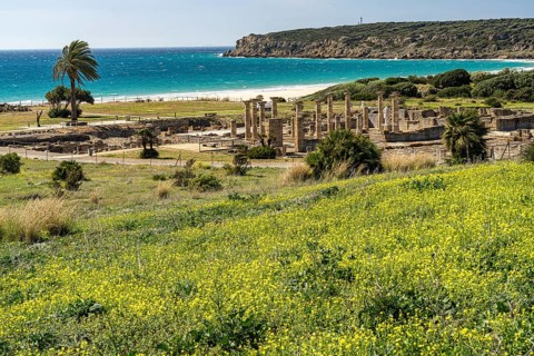The Roman ruins of Baelo Claudia on the coast near Bolonia, Tarifa, Costa de la Luz, Andalusia,