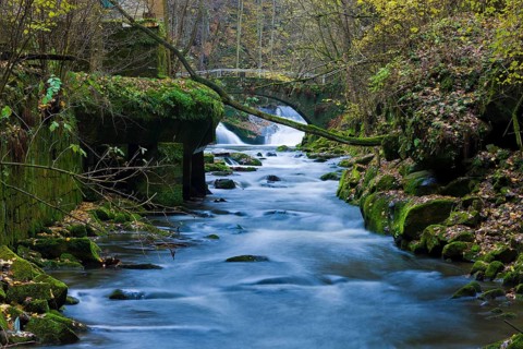 Liebethaler Grund near Lohmen in Saxon Switzerland