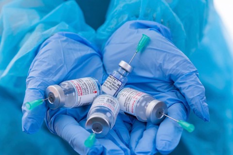 Medical professionals hold corona vaccine