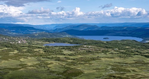 Tundra landscape with birch forests and lakes, Fjell, Oystre Slidre, Jotunheimen National Park,