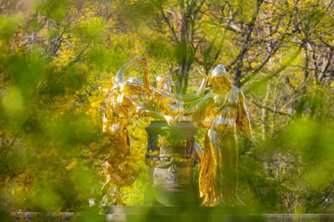 Bürgerwiese and Blüherpark, Mozart Fountain