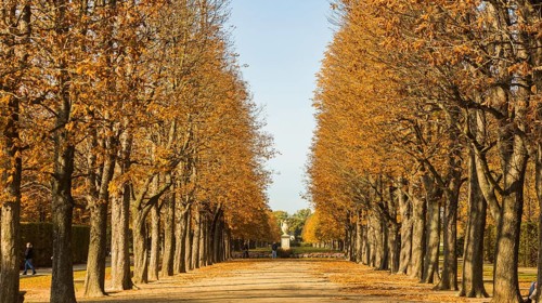 The former summer residence of the Saxon royal family is the largest chinoise palace complex in