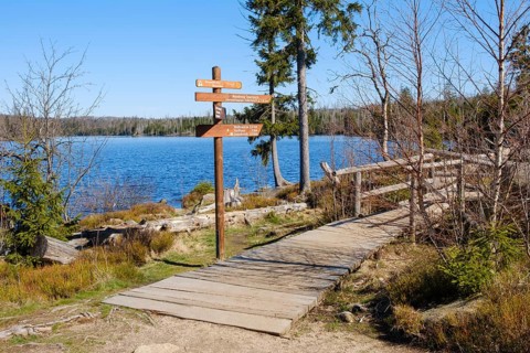 Signpost on the circular trail around the Oderteich, dam, Harz National Park, Lower Saxony,