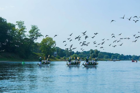Pleasure gondolas in 1719 The 300th anniversary of the prince's wedding in 1719 was celebrated in