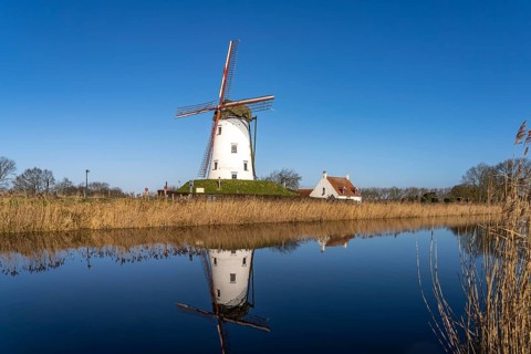 Windmill de Schellemolen in Damme, West Flanders, Belgium, Europe
