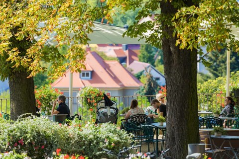 Hoflössnitz st a former Electoral Saxon, now municipal winery on the Saxon Wine Route In the 21st
