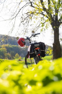 Symbolic image Resting on an e-bike tour in the Leipzig region at the Westewitz weir on the Mulde