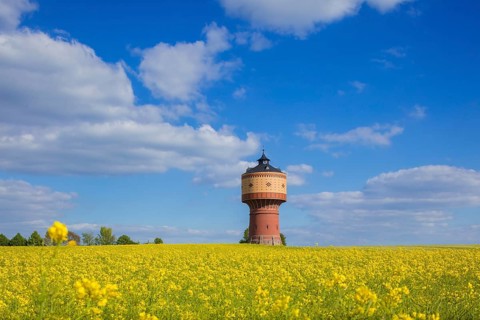 Mittweida Water Tower