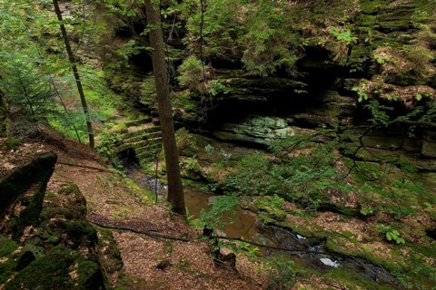 Amselgrund in Saxon Switzerland