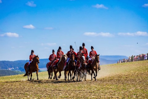 Battle of Maxen