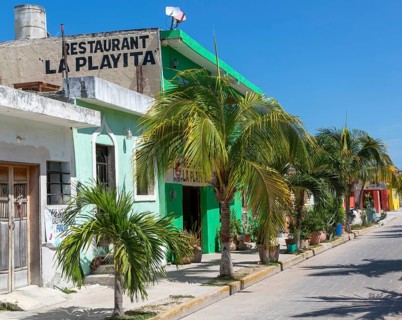 Palm trees on pavement of La Playita restaurant colourful buildings quiet village road, Celestun,