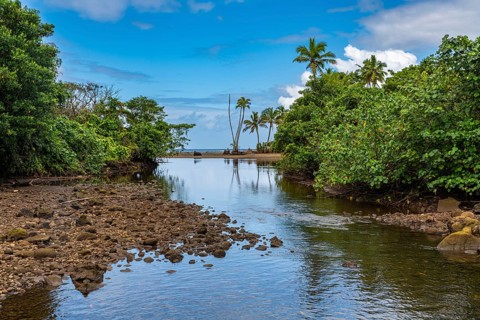Little creek, Bouma National Park, Taveuni, Fiji, South Pacific, Oceania