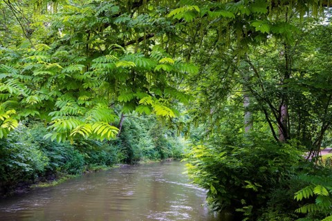 The River Ilm in Weimar at the park of the same name