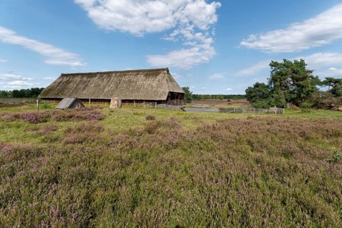 Sheep pen during the heath blossom in the Osterheide in the Lüneburger Heide nature reserve.