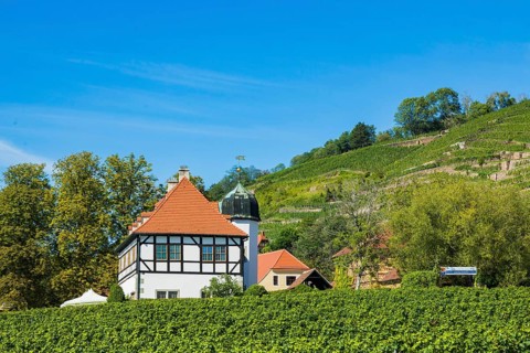 Hoflössnitz st a former Electoral Saxon, now municipal winery on the Saxon Wine Route In the 21st