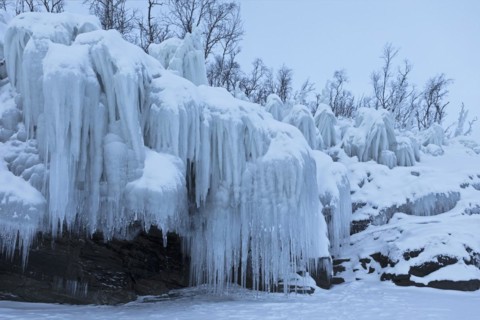 Icicles on the shore of Lake Torneträsk, Lapland, Sweden, Europe