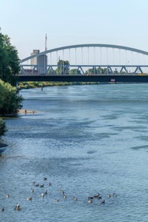 The Rhine between Strasbourg and Kehl seen from the garden of the two banks. Bas-Rhin, Collectivite