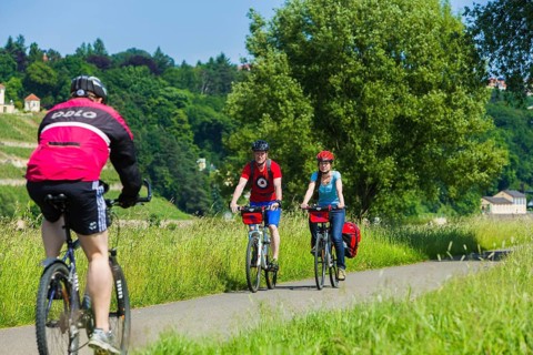 Elbe Cycle Route in Dresden