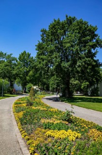 Spa garden, Bad Füssing, Lower Bavaria, Bavaria, Germany, Europe