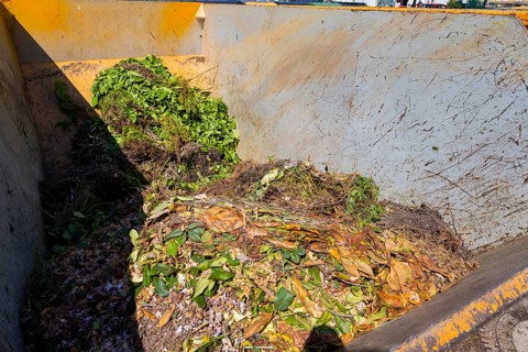 Pilot project on waste prevention and reuse launched. Reuse instead of throwing away: From June