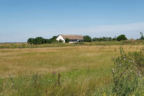 Puszta and steppe landscape in Hortobagy National Park, Hortobagy Nemzeti Park, UNESCO Biosphere