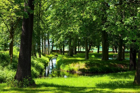 Schmochtitz Castle Park
