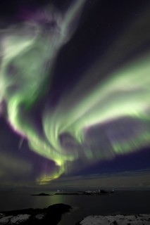 Northern Lights (Aurora borealis) in green and pink over the North Sea, Andoya, Vesteralen, Norway,