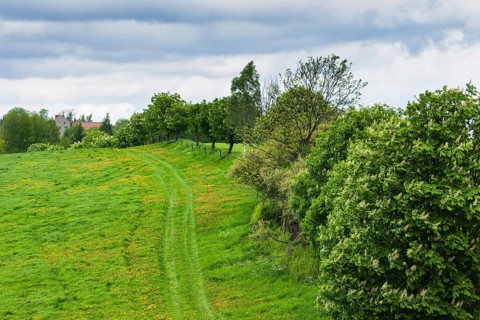 Fields near Pinkowitz