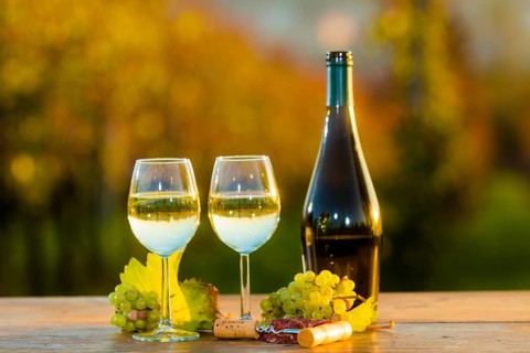 The wine-growing region of Saxony is one of the smallest and the most easterly wine-growing region