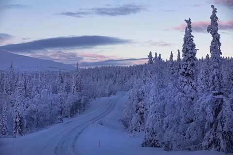 Winter road in Pallas Yllästunturi National Park along snow-covered trees with mountains in the