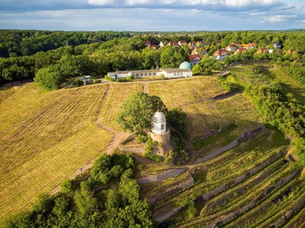 Wackerbarth Castle, originally Wackerbarths Ruh', is a Baroque castle surrounded by vineyards in