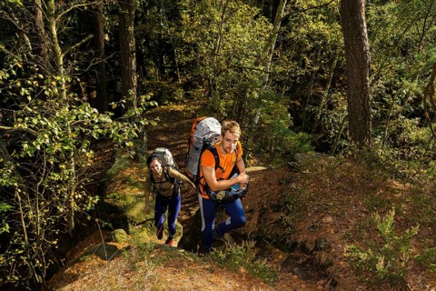 Climbers in Rathen in Saxon Switzerland
