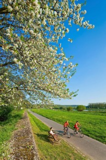Diesbar Seusslitz Elbe cycle path