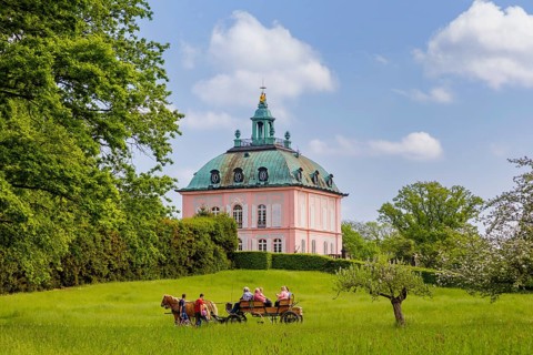 Pheasant Castle Moritzburg in Spring