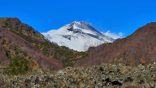 Grey lava rubble, reddish brown trees, blue sky, snow-capped peaks, Etna, volcano, Eastern Sicily,