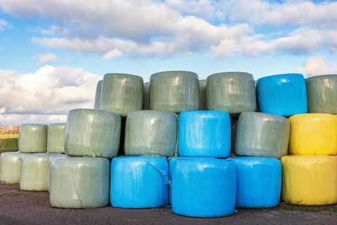 Colored silage bales in the countryside