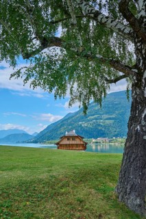 Birch meadow, house, Ossiach, Lake Ossiach, Carinthia, Austria, Europe
