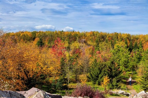 The Forest Botanical Garden Tharandt is an institution of the Technical University of Dresden and
