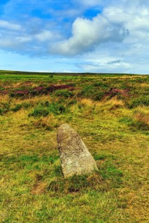 Menhir in a field, moorland, Men an Tol, Penzance, Cornwall, England, Great Britain