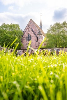 Historic monastery church with grass in the foreground, Hirsau, Black Forest, Germany, Europe