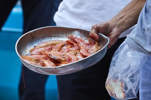 Vendor's hand holding metal bowl with prawns, detail, fish market, old town, Catania, east coast,