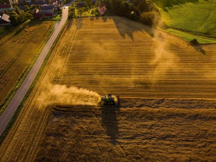 A combine harvester harvests a cereal forest