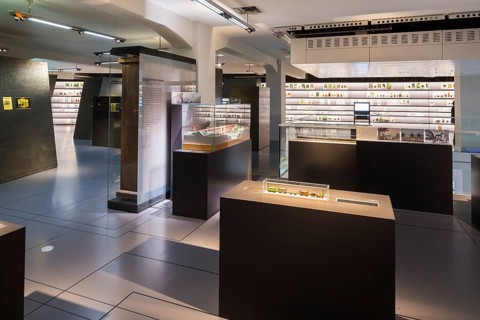 State Museum for Archaeology Chemnitz