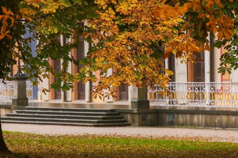 About 15 kilometres east of Dresden city centre, directly on the Elbe, lies Pillnitz Palace & Park,