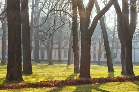 Pillnitz Palace Park Meadows at the Bergpalais