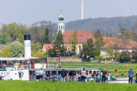 Steamship parade of the historic paddle steamers., in the background the Schifferkirche Maria am